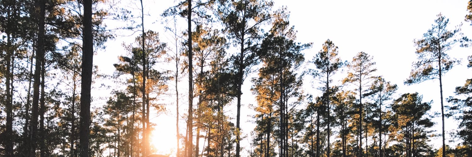 silverrreneee's profile banner image