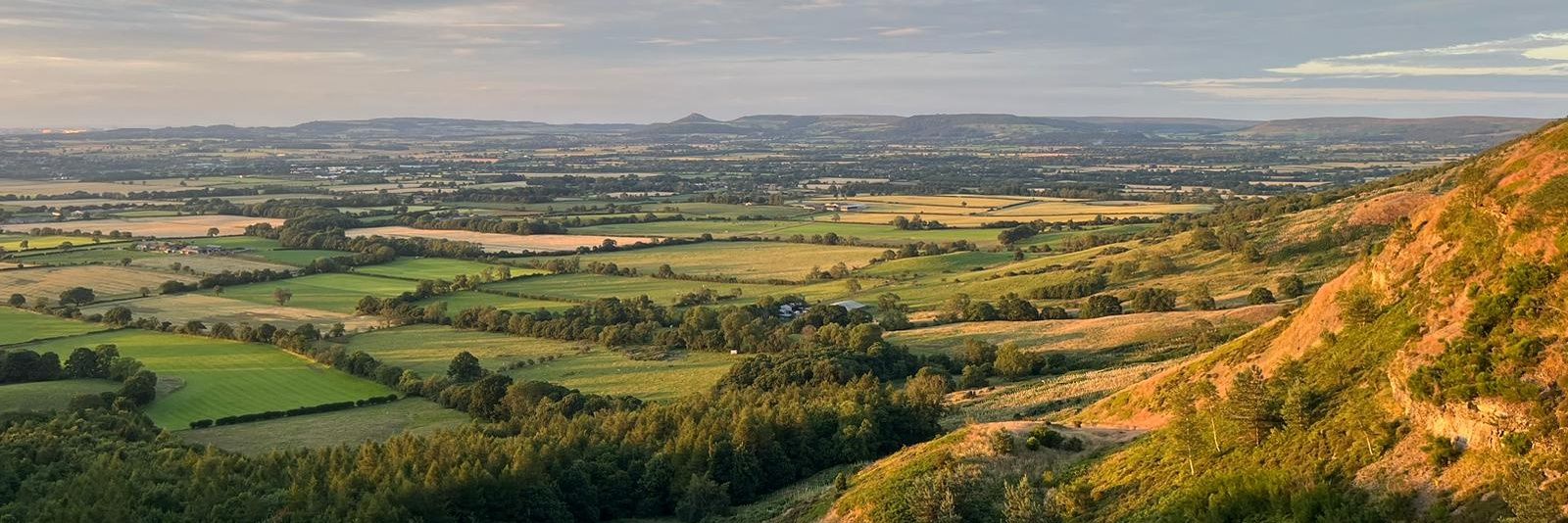 Joeey / Benji² banner