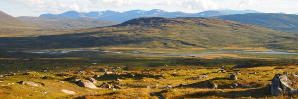 Leserlampe Profile Banner