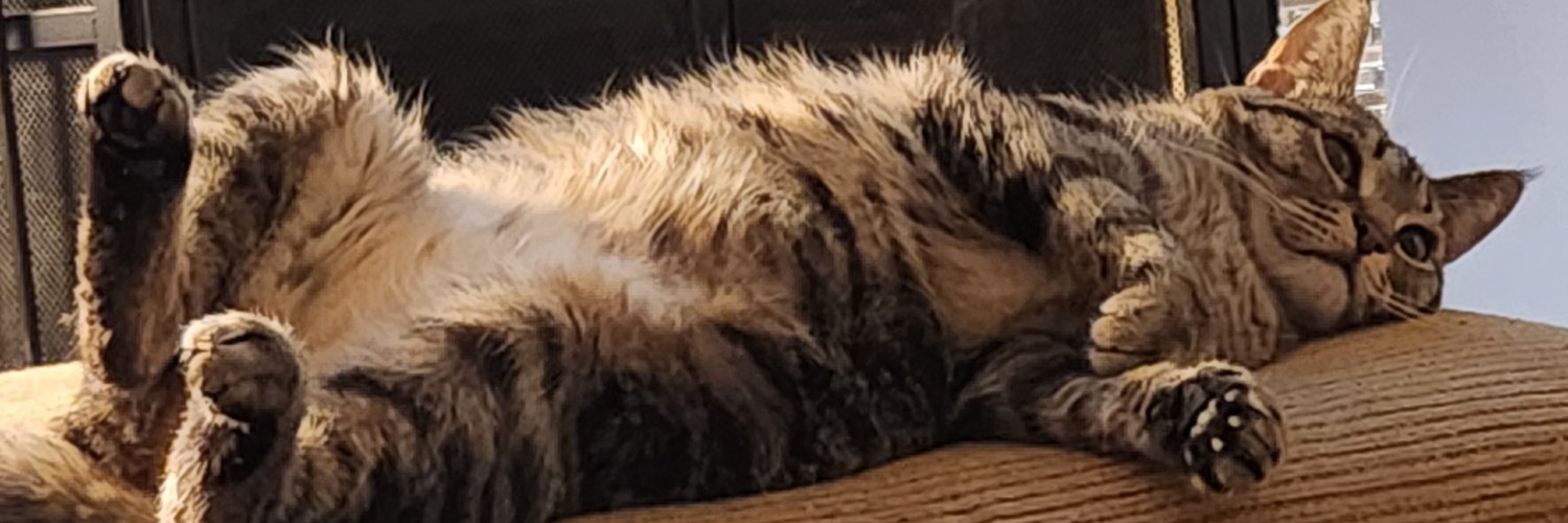 Bankstro's profile banner image