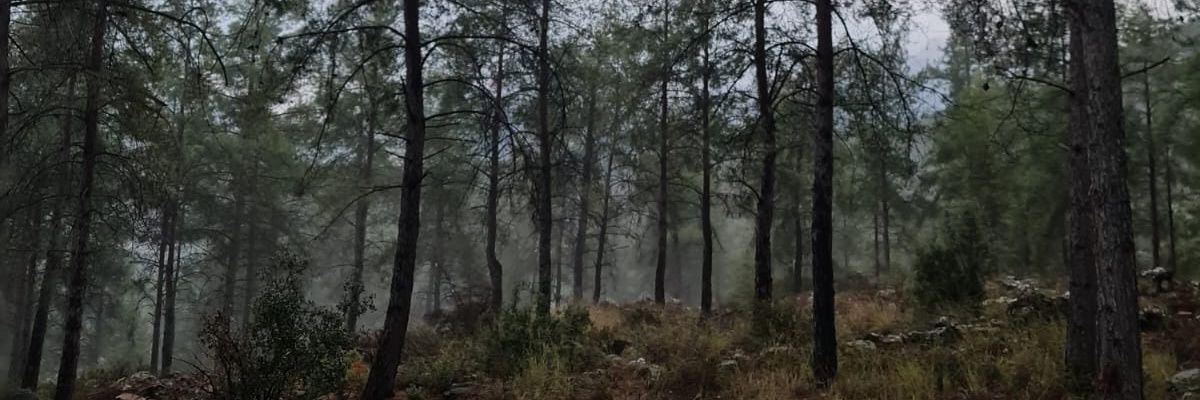 filedenn's profile banner image