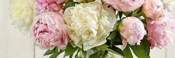 TislivingFnp Profile Banner