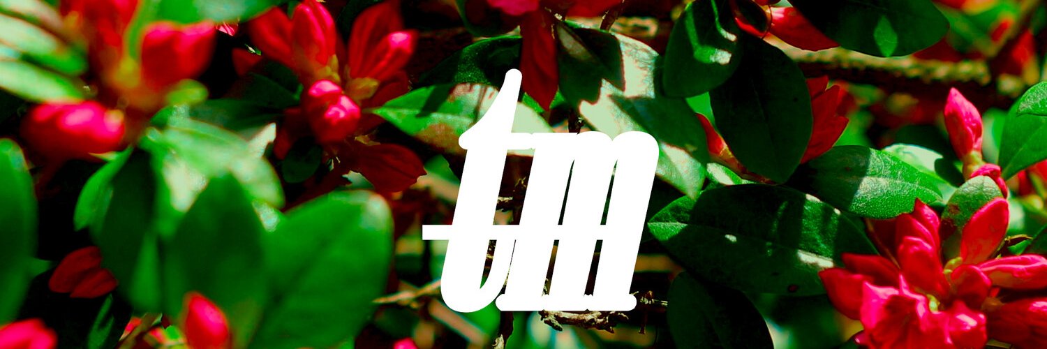ToneMSN's profile banner image