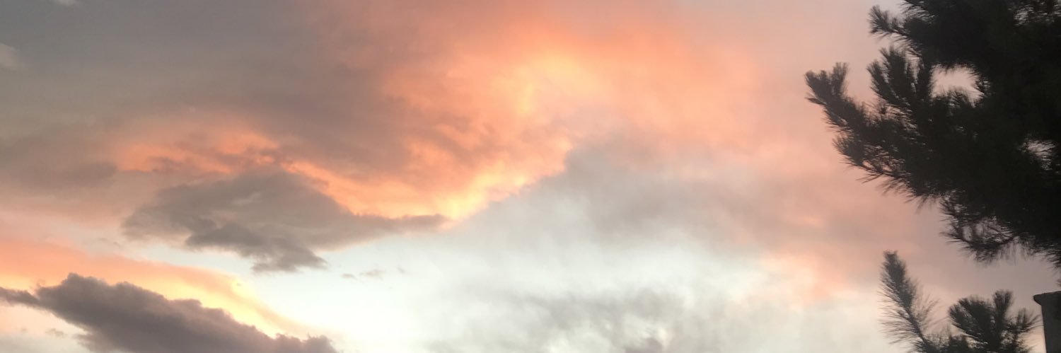 Crispradob's profile banner image