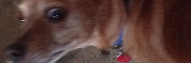 AMihandoost's profile banner image