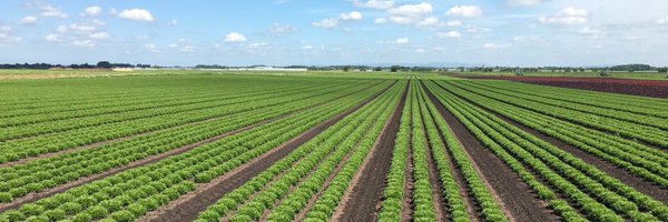 Agronomysilvers Profile Banner