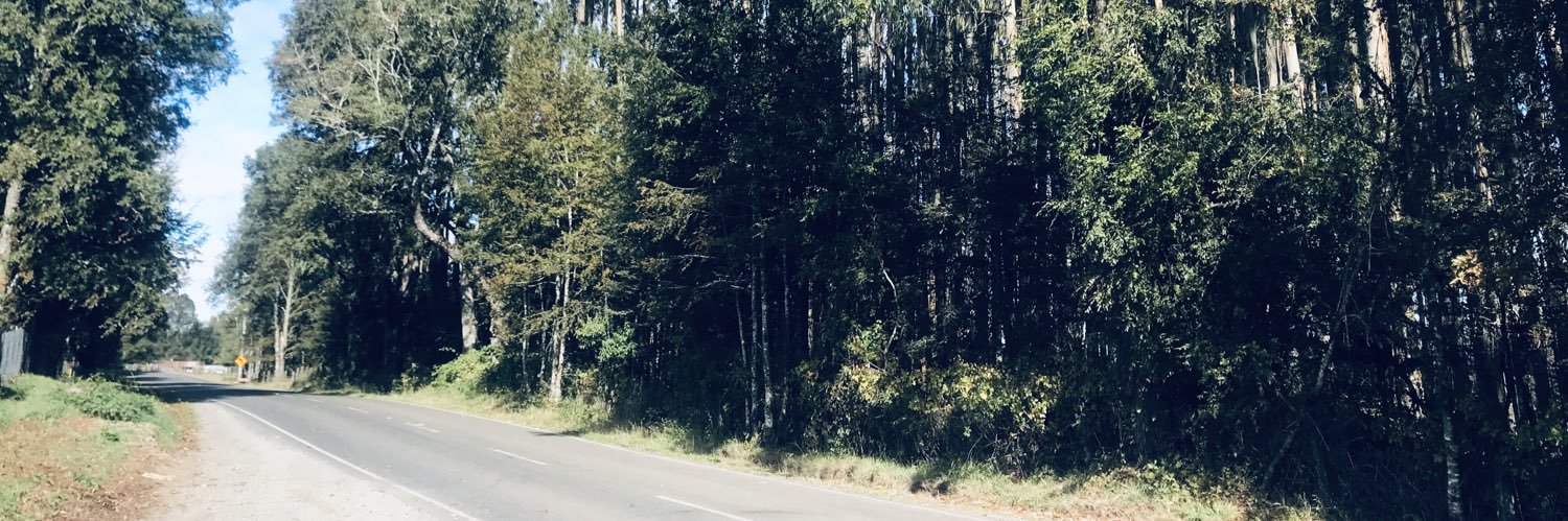 FcoEnoc's profile banner image