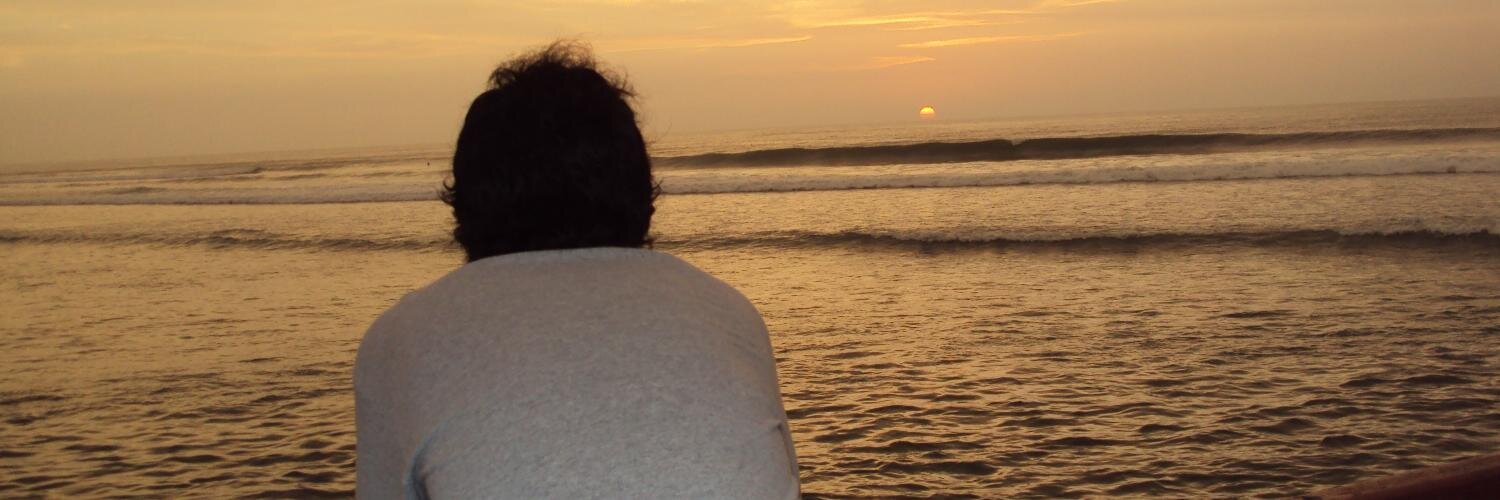 hertzpoma's profile banner image