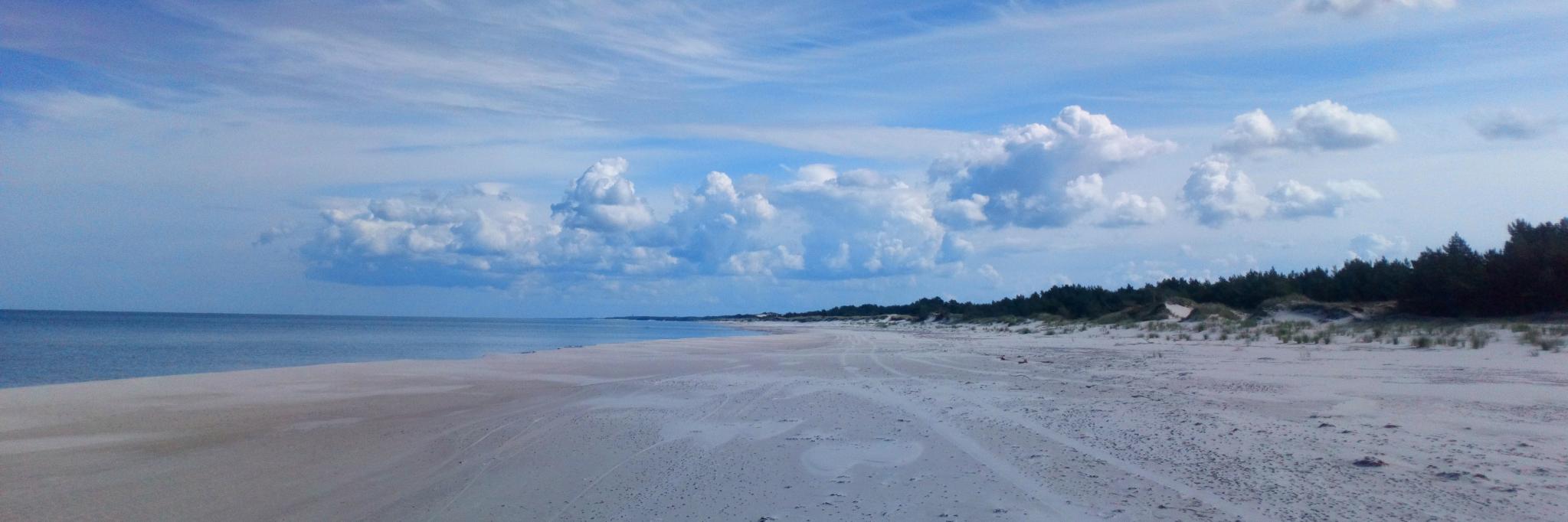 Brutalny Hare Rama banner