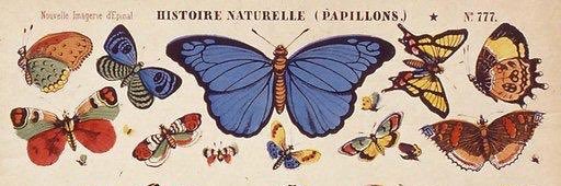 audreymbowe's profile banner image