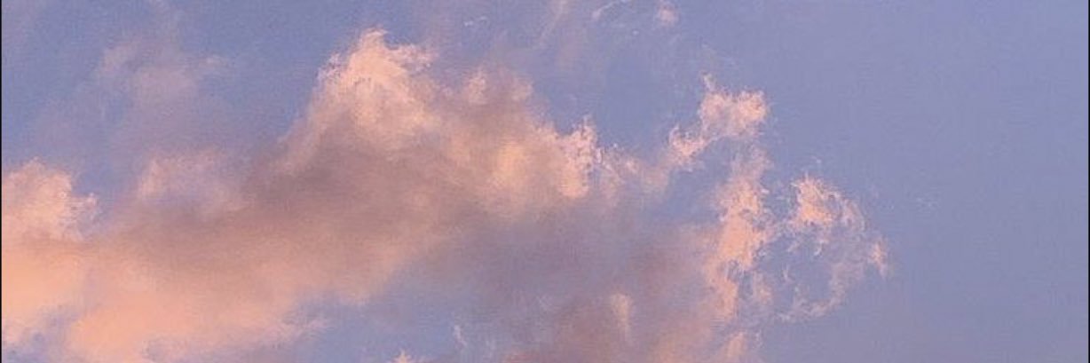 EliseMachen's profile banner image