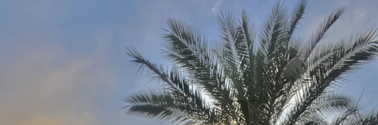 n_1990n1's profile banner image