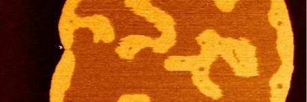 omidvar_r's profile banner image