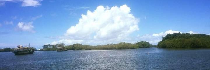 Daniela Silva ⭐️ banner