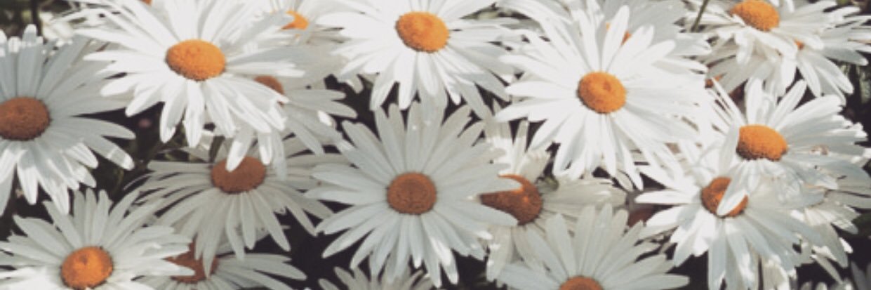 amanda_leanneee's profile banner image