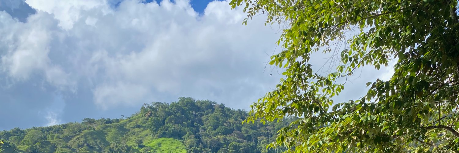 tobypomeroy's profile banner image