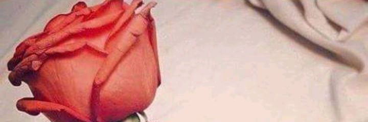 شيخة العرب banner
