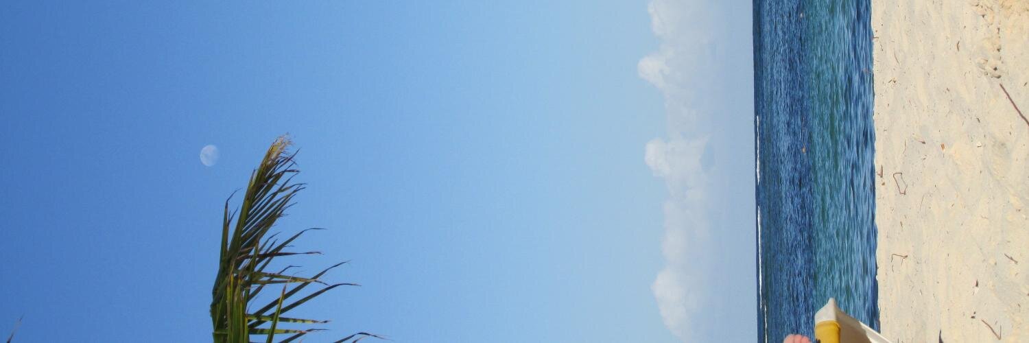 ar_Gri's profile banner image