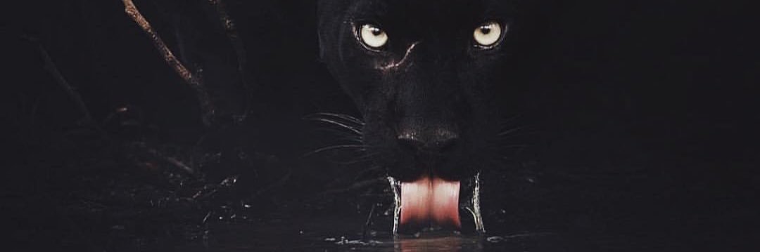 obaidx_9's profile banner image