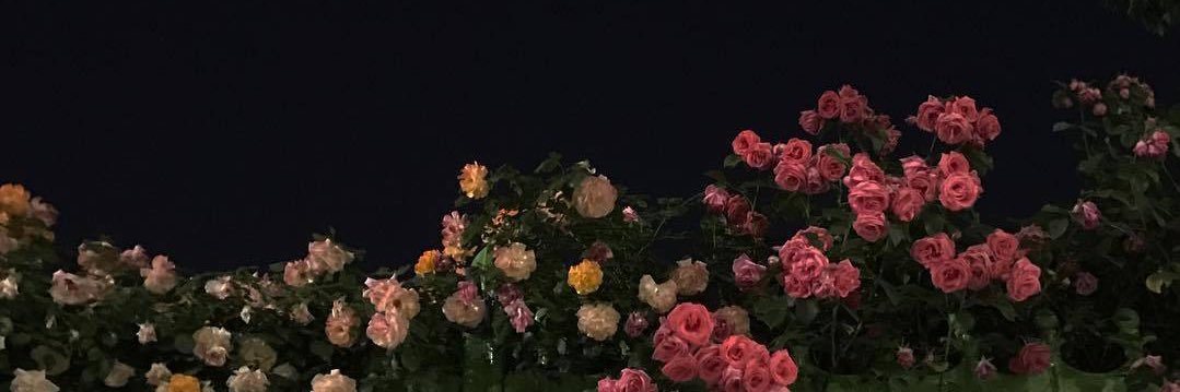 ashleeweeee's profile banner image