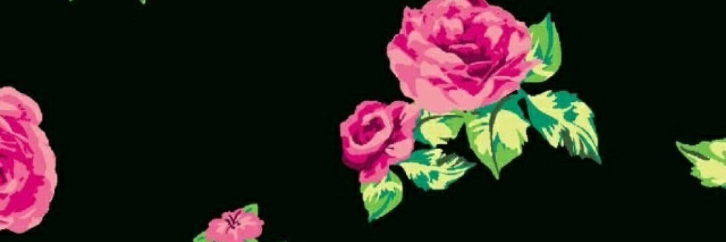 emilypc41's profile banner image
