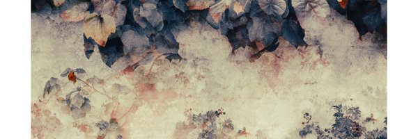 catkin314 Profile Banner