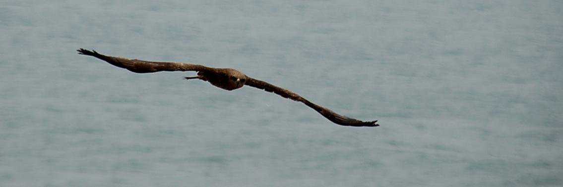 Jessica 🇲🇽 banner