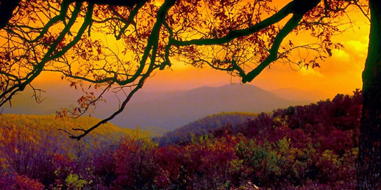EmilyWhiteRice's profile banner image