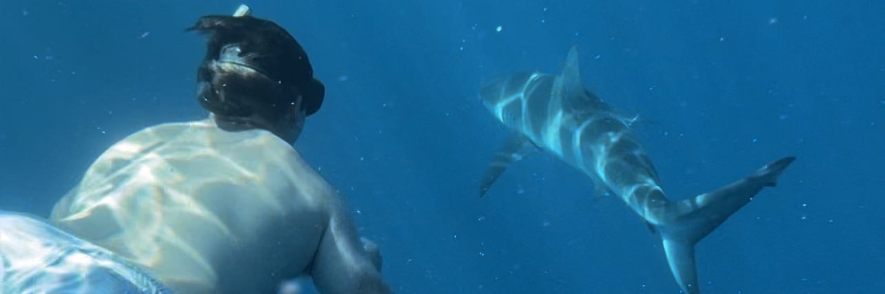 Austin Mosier banner