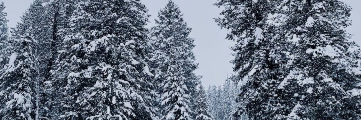 allysucher12's profile banner image