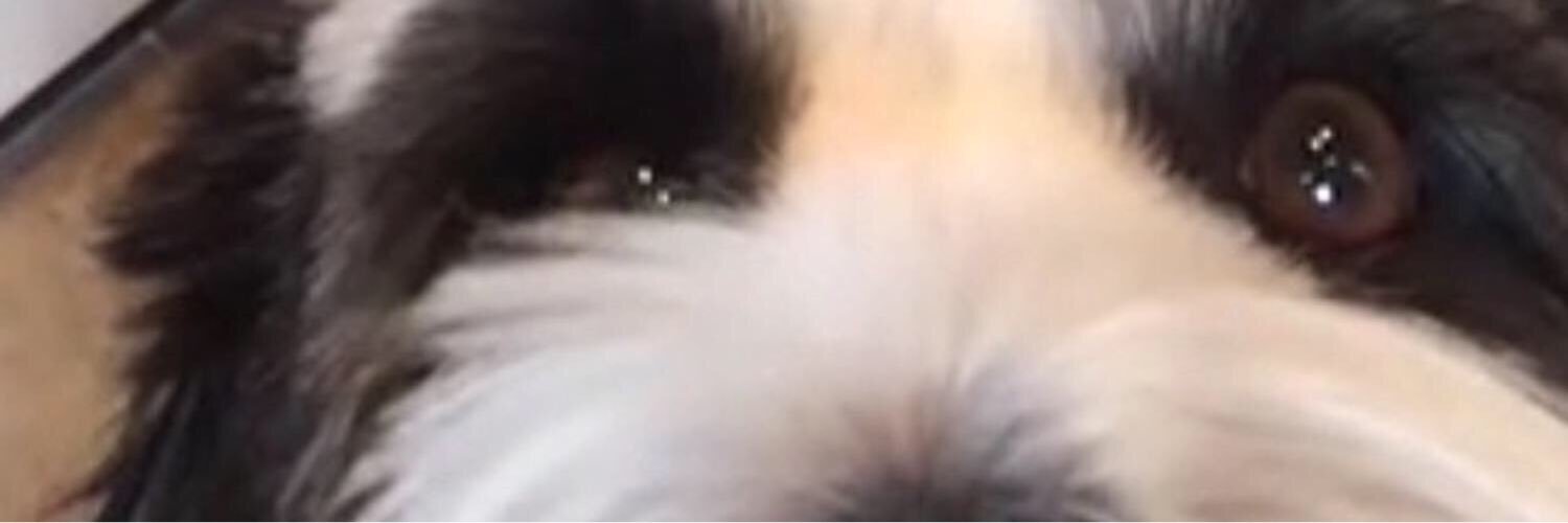 Jack_LeMunyon's profile banner image