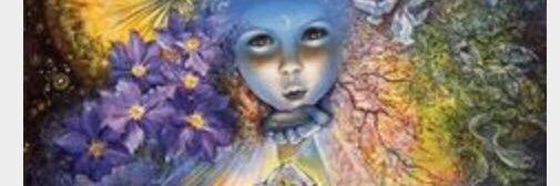 Dons Will Be Dons🐒 banner