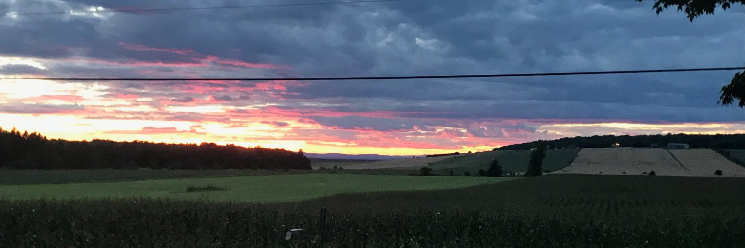 Marie-Claude Malette banner