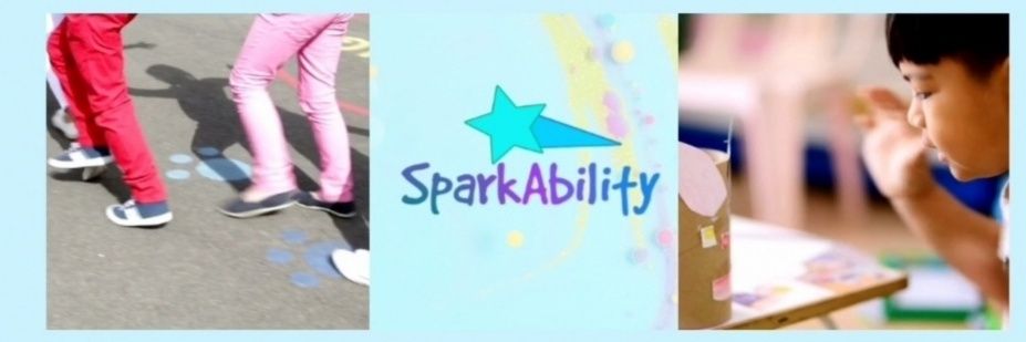 SparkAbility Ireland banner