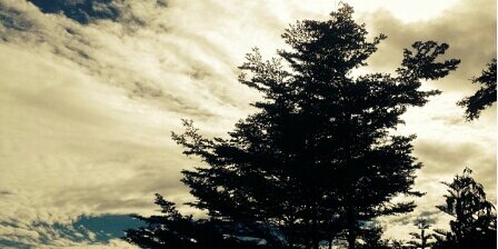 Orume Oghenejode banner