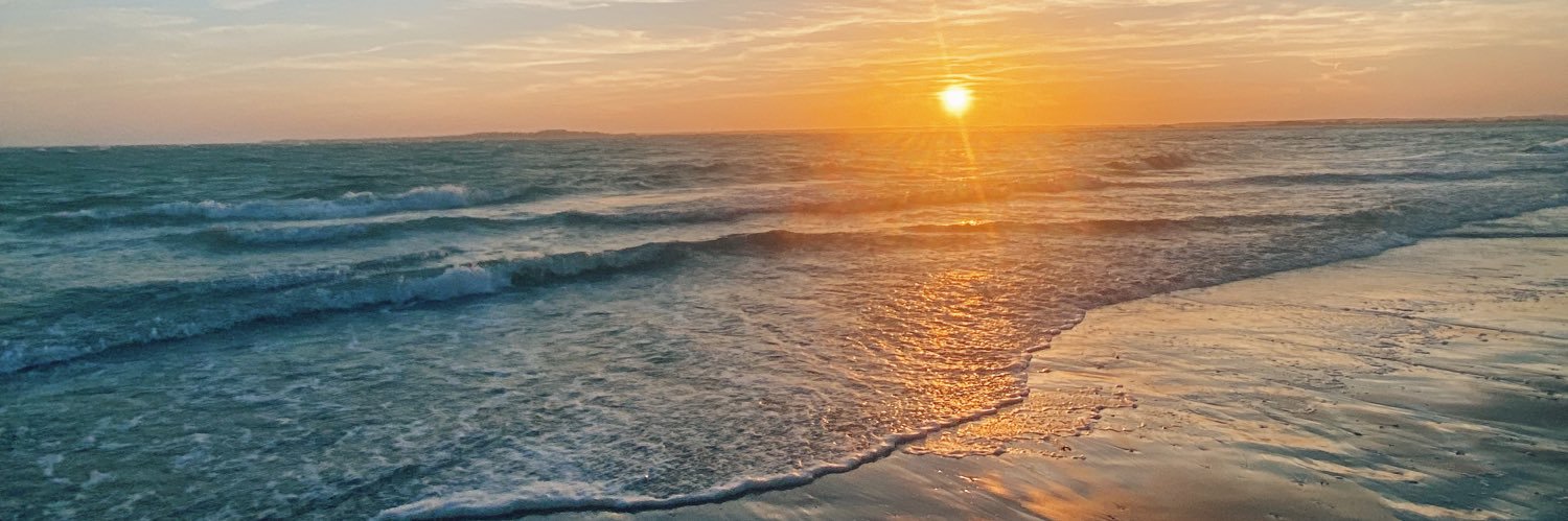 Agatha Niccolai banner