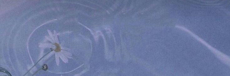 Begum_bedir's profile banner image