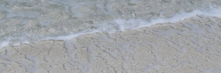 nicolefromtx's profile banner image