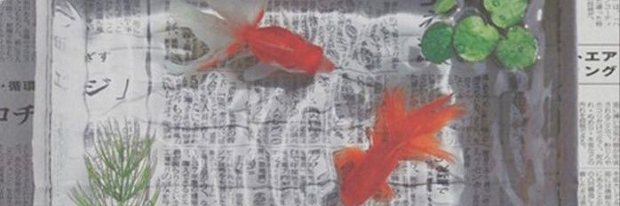 jktae48's profile banner image