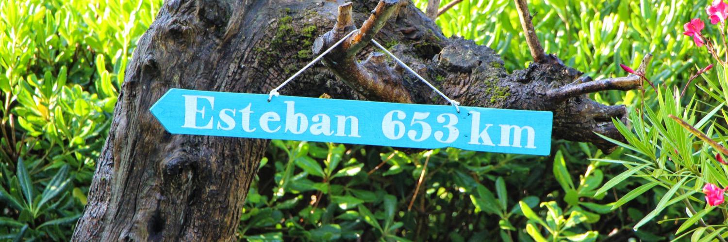 jolan's profile banner image