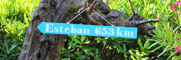jolan Profile Banner