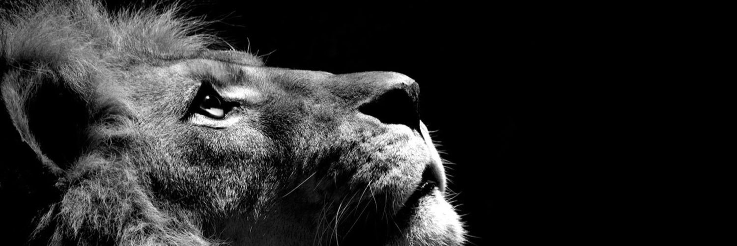 sandor_mod's profile banner image