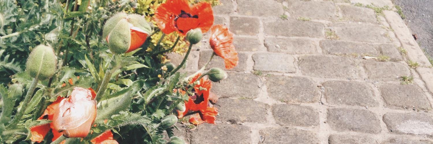 lucycollingee's profile banner image