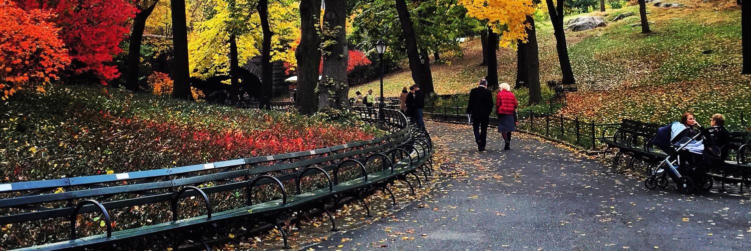 DASHTI DAWOUD banner