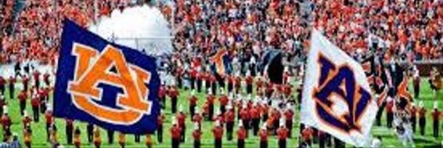 Anthony John Green Allen banner