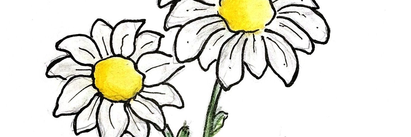 alghyptr's profile banner image