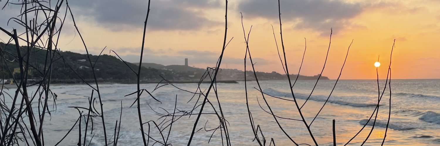 César Mancera V banner