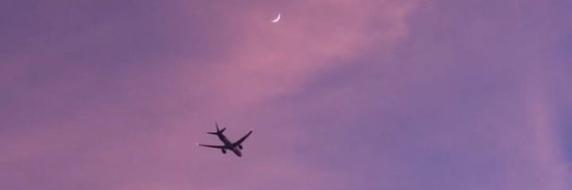 lesbotron3000 banner