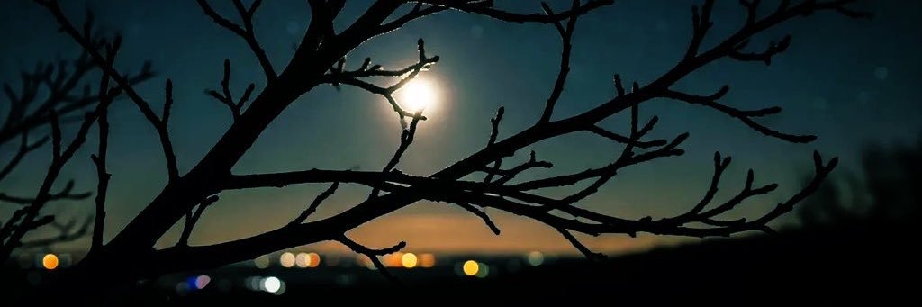 35_themis's profile banner image