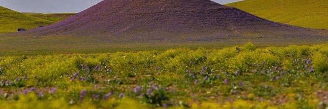alohpy's profile banner image
